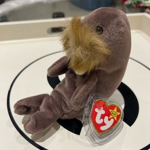 TY "Jolly" the Walrus Retired Beanie Baby Stuffed Plush - MINT NEW WITH TAGS